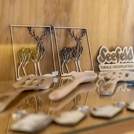 מלון דירות Olympia Tirol 3*